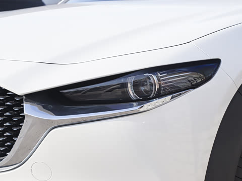 2025�� 2.0L �Զ�������