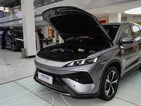 2026�� DM-i 220KM׿Խ��