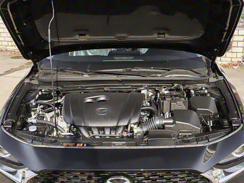 2025�� 2.0L �Զ����Ű�