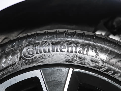 2025�� Elite�����