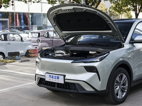 2026�� 565km ������