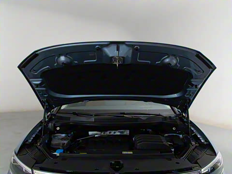 2026�� 450TSI �������� 7��