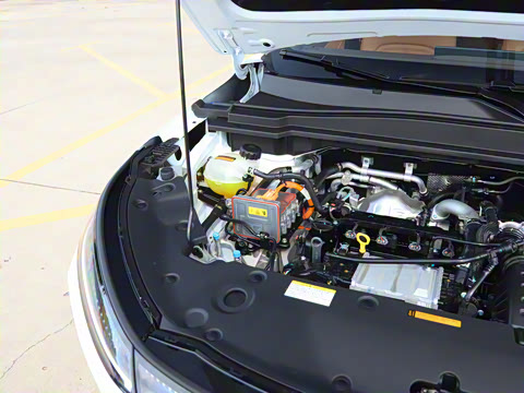 2025�� 185KM�����