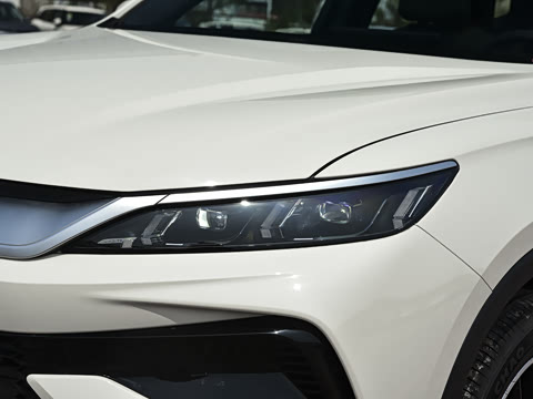 2026�� DM-i 220KM��Խ��