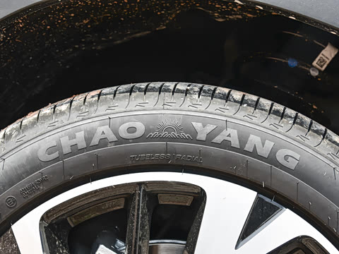 2026�� DM-i 220KM��Խ��