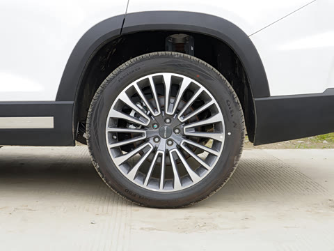 2025�� ������ 5��