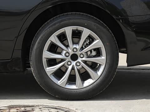 2026�� ˫�� 2.0L ��ѡ��