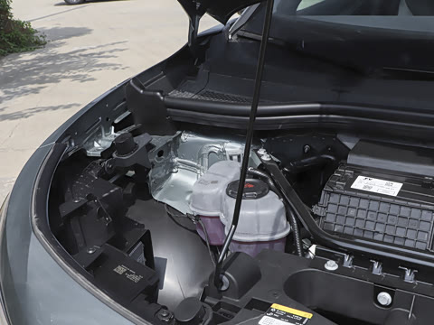 2026�� ������PURE