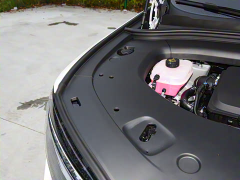 2026�� ���� Max������ 5��