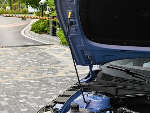 2026�� 1.5L �������� ������