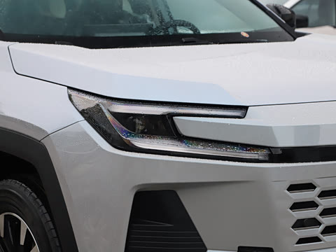 2026�� 2.0L ���ܵ��˫�� PRO