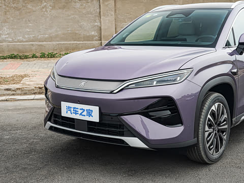 2026�� DM-i 310KM ׿Խ��