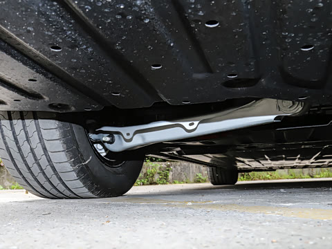 2026�� ����������