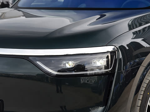 2025�� ���� Max+ ������������ 