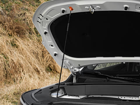 2026�� 225km ����