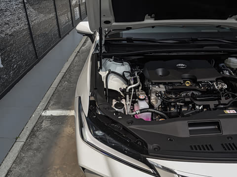 2026�� ˫�� 2.0L ����