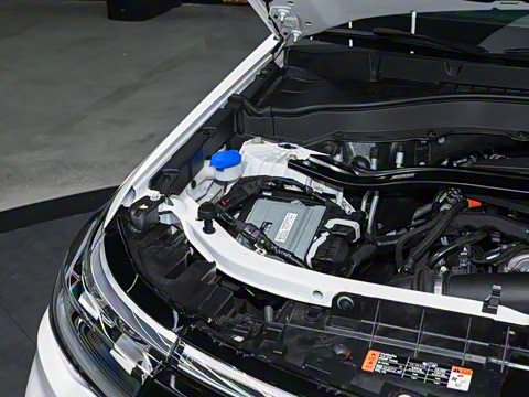 2025�� 2.3T EcoBoost ���ش�Խ�� 5��