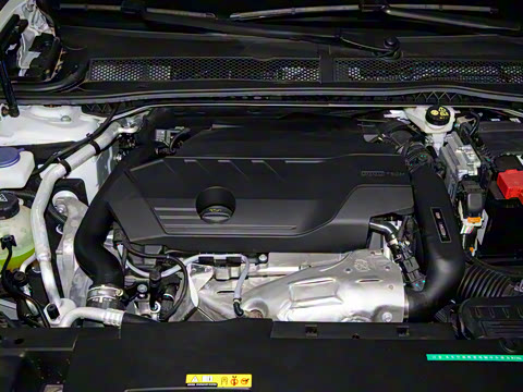 2025�� �Ŀ� 508L 400THP Ԧ���콢��