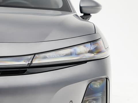 2025�� ������