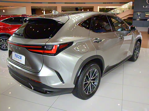 2025�� 400h+ PRIME