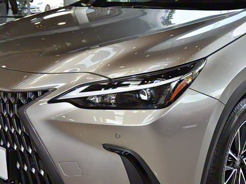 2025�� 400h+ PRIME