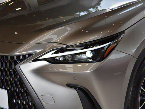 2025�� 400h+ PRIME