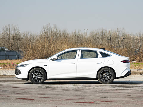 2026�� DM-i 170KM��Խ��