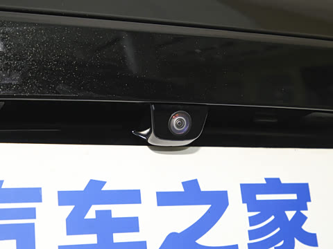 2025�� Elite�����