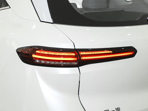 2025�� 565km �����