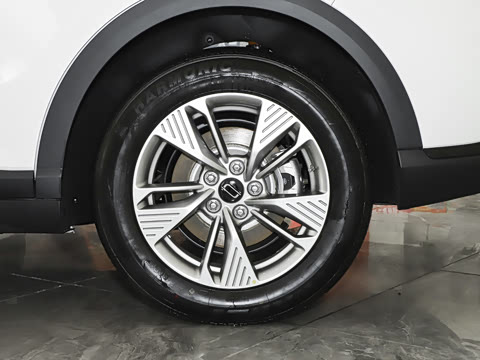 2025�� 565km �����