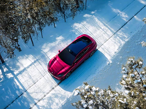 2026�� ������