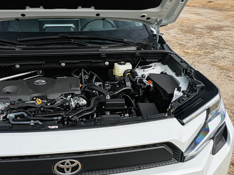 2026�� ˫�� 2.5L �����콢��