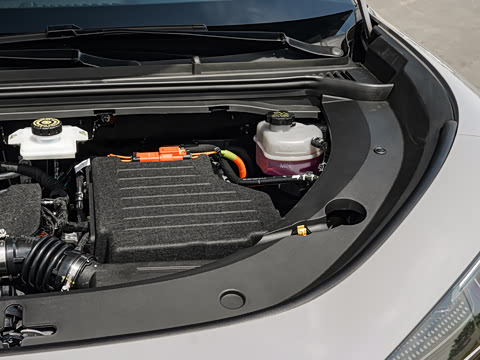 2026�� DM-i 305�캽��