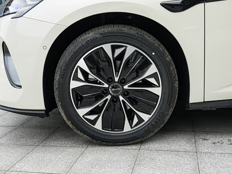 2026�� 705�콢��