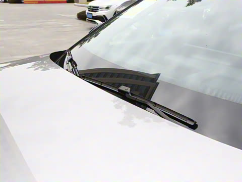 2026�� 126������ Max