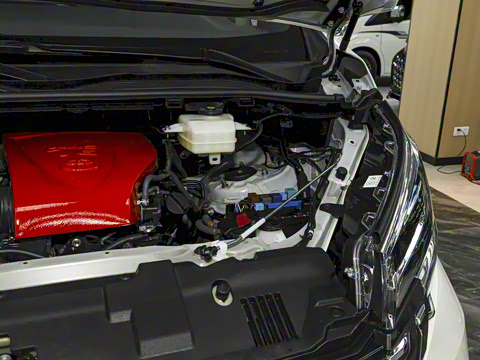 2025�� ƽ�� ���ʰ�