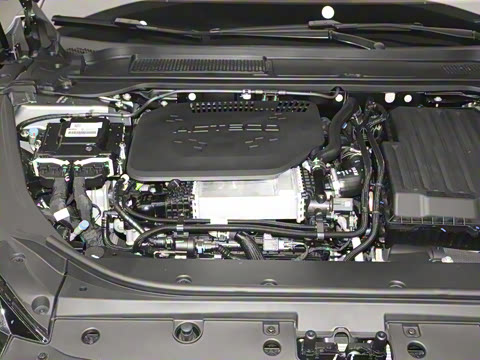 2025�� 260����������