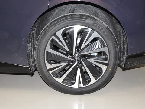 2025�� ������