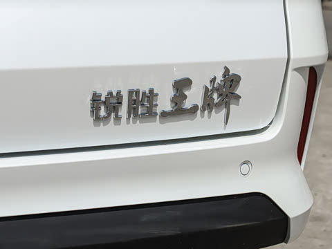 2026�� 2.0L �Զ��������� 7��