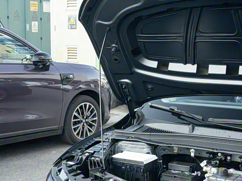 2025�� 650������