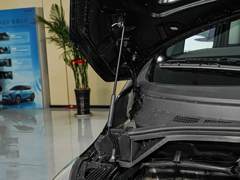 2027�� 2.0L ������ 7��