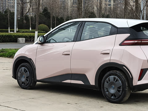 2025�� �Ǽݰ� 305km ������