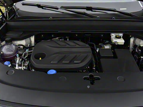 2025�� 215����������