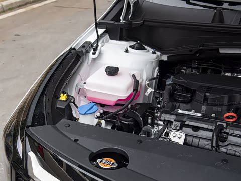 2026�� ����������