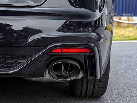 2024�� RS 5 2.9T Coupe ȼ���