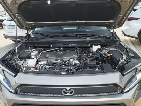 2026�� ˫�� 2.5L ����������