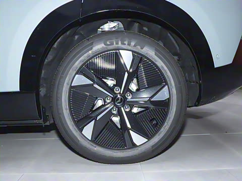 2025�� ����600 Pro