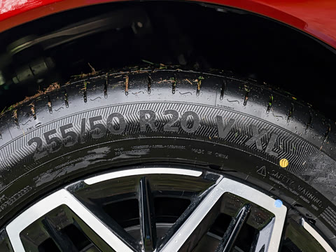 2026�� ���� ����Max��