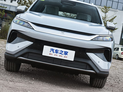 2026�� DM-i 220KM��Խ��