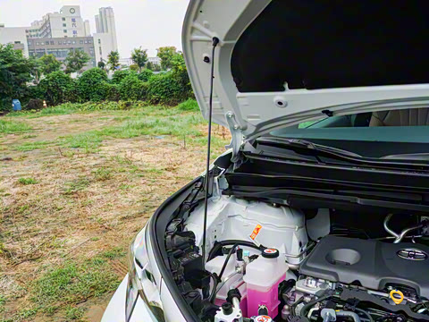 2026�� 2.5L ˫������������